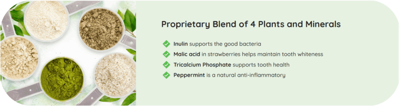 Prodentim Ingredients
